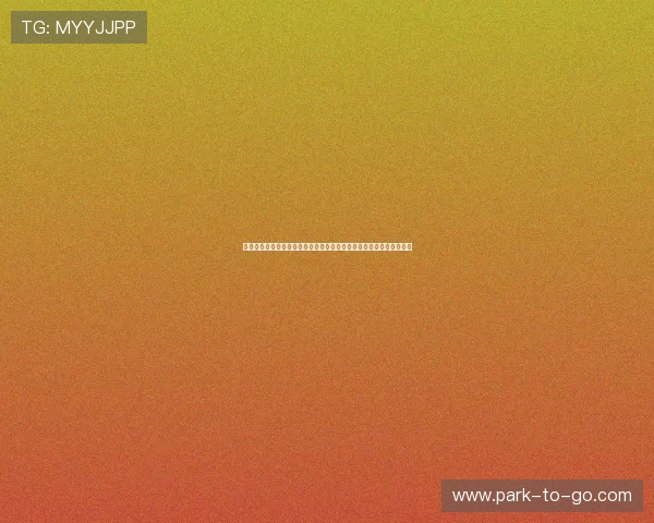 星空体育直播官网用户注册流程详解，轻松开启你的专属体育直播之旅